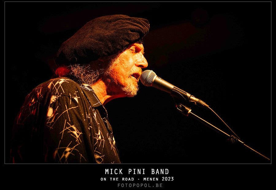 Experience The Blues With Mick Pini